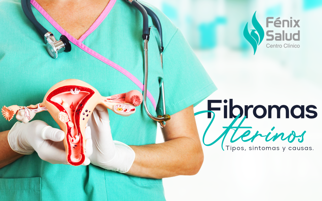 Fibromas Uterinos Tumores No Cancerosos Centro Clínico Fenix Salud 7688