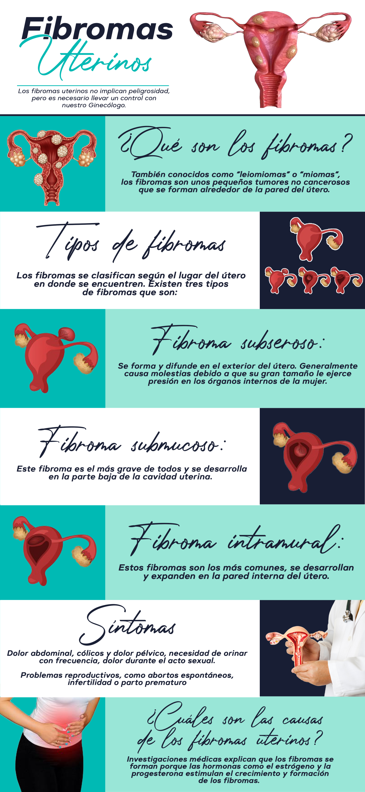 Fibromas Uterinos: Tumores No Cancerosos - Centro Clínico Fenix Salud