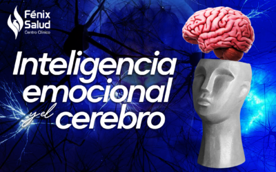 Inteligencia emocional y el cerebro