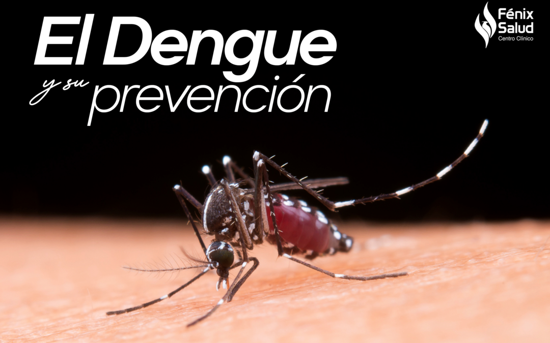 Dengue y su prevención