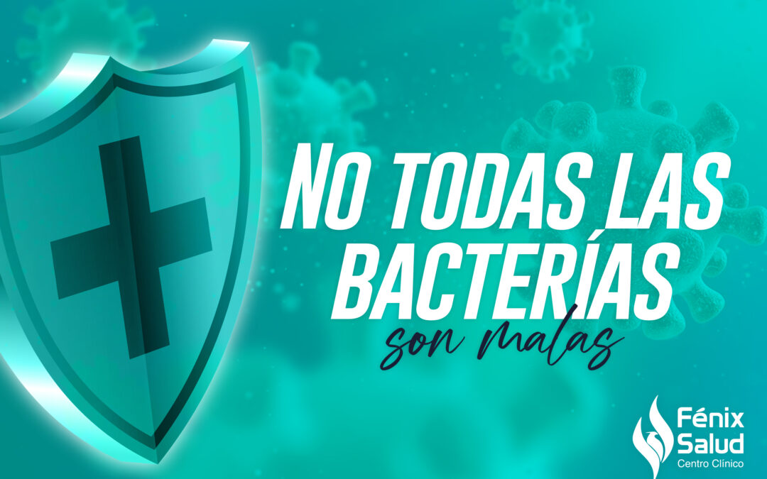 No todas las bacterias son malas