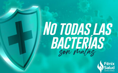 No todas las bacterias son malas